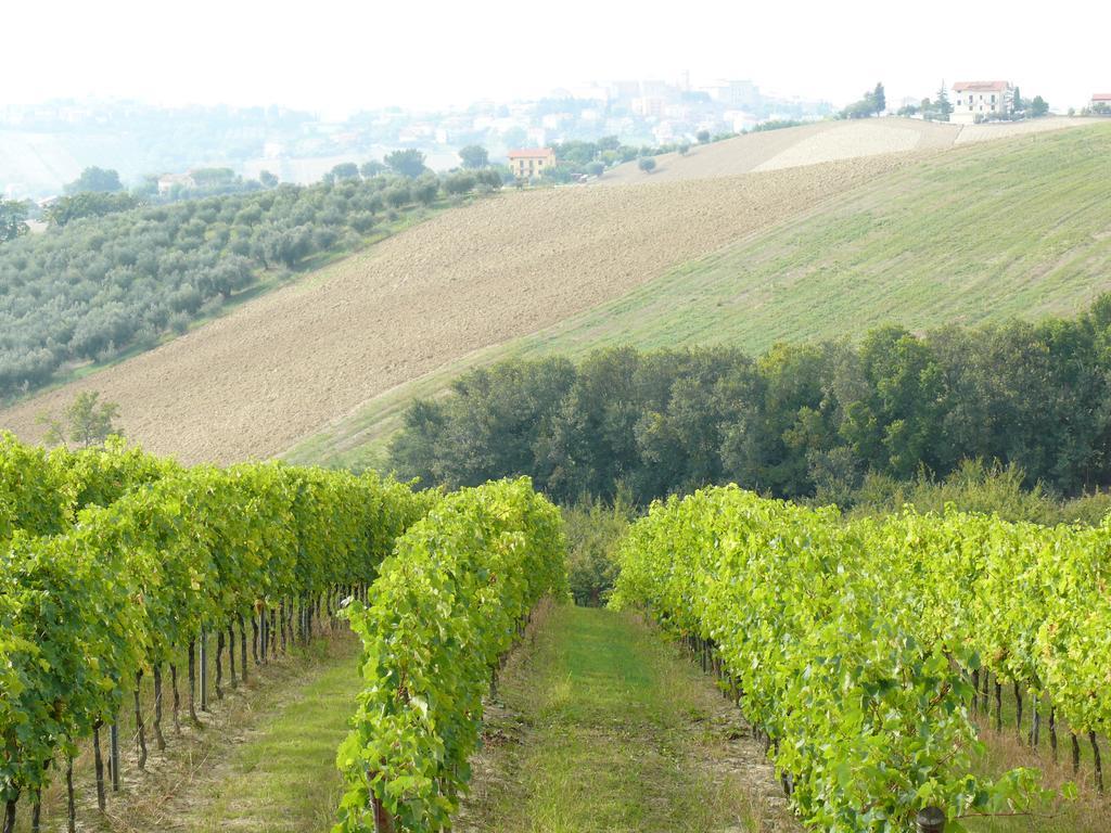 Agriturismo Al Rifugio Divino Belvedere Ostrense Exteriör bild